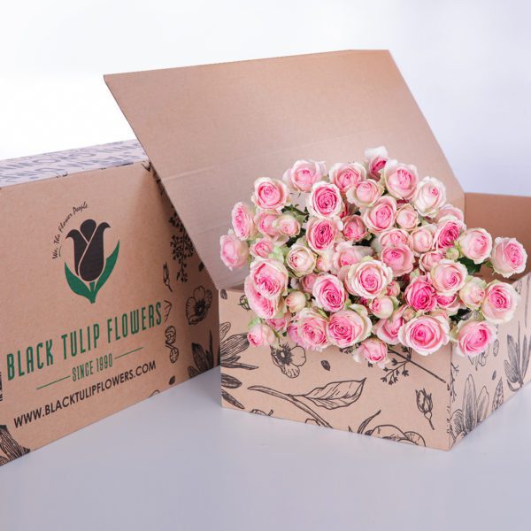 Spray Roses Dinara with vase