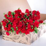 Spray Roses Mirabel (1)