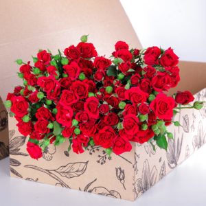 Spray Roses Mirabel