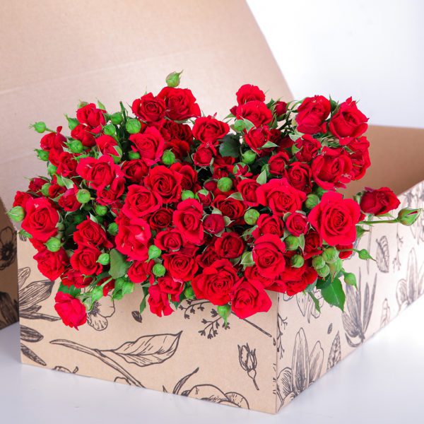 Spray Roses Mirabel