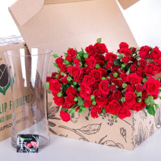 Spray Roses Mirabel