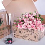 Spray Roses Reflex (3)