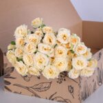 Spray Roses Salinero with vase (2)