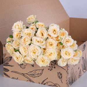 Spray Roses Salinero with vase
