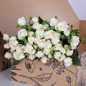 Spray Roses Snowflake with vase