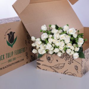 Spray Roses Snowflake with vase