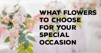 What Flowers to Choose for Your Special Occasion 28 What Flowers to Choose for Your Special Occasion