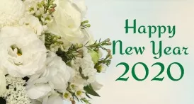 Let’s start the year '2020' with Black Tulip Flowers 41 WhatsApp Image 2019 12 27 at 6.35.54 PM jpeg