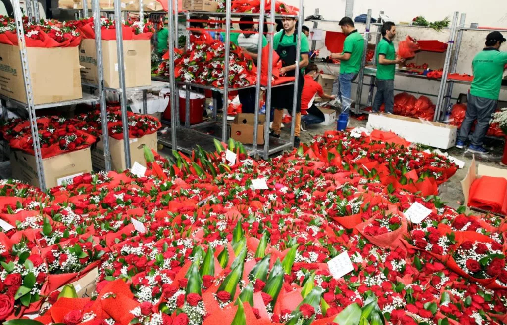 Valentine’s Day in UAE: Where will your rose be coming from? 1 WhatsApp Image 2020 02 13 at 18.53.08 2 1024x658 1 jpeg