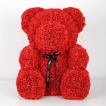 appealing_red_rose_teddy_bear.png