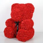 appealing_red_rose_teddy_bear_3_.png
