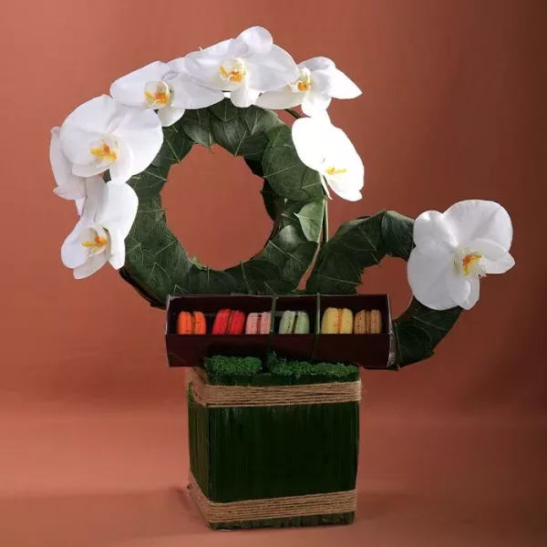 artistic phalaenopsis arrangement jpg