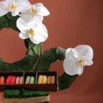 artistic_phalaenopsis_arrangement_3_.jpg