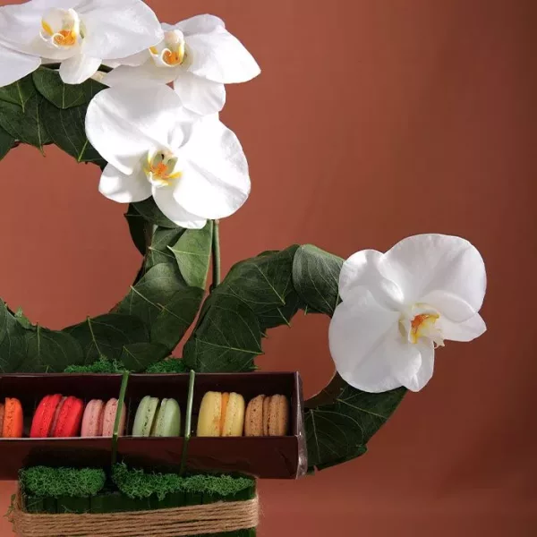 artistic phalaenopsis arrangement 3 jpg
