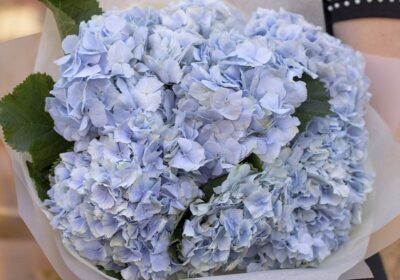 be blue hydrangea bouquet
