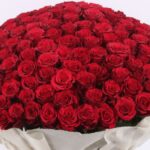 bouquet_of_500_red_roses.png