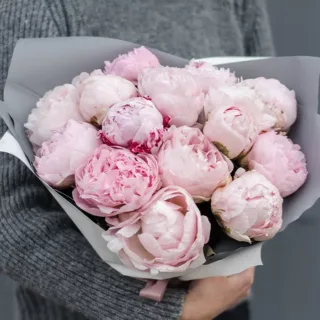 A person holding a large bouquet of pink peonies.