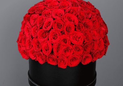 box of amazing red roses