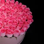 breast_cancer_gift_-_pink_roses_in_a_box_1.jpg