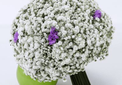 bridal bouquet gypsophila with statice purple 2