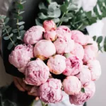 bunch_of_20_stems_pink_peonies.jpg
