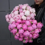 bunch_of_99_peonies.jpg