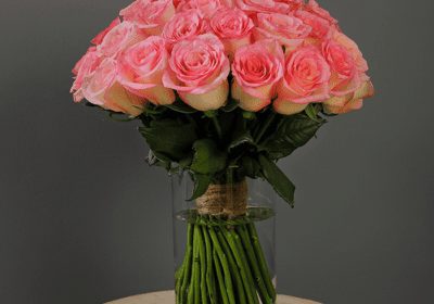 bunch of light pink roses