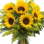 bunch_of_sunflowers_2_.jpg