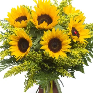 bunch of sunflowers 2 jpg
