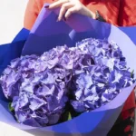classy_hydrangea_bouquet.jpg