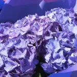 classy_hydrangea_bouquet_2_.jpg