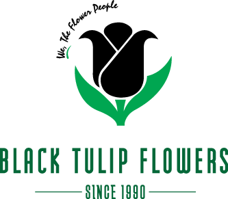 Black Tulip Flowers