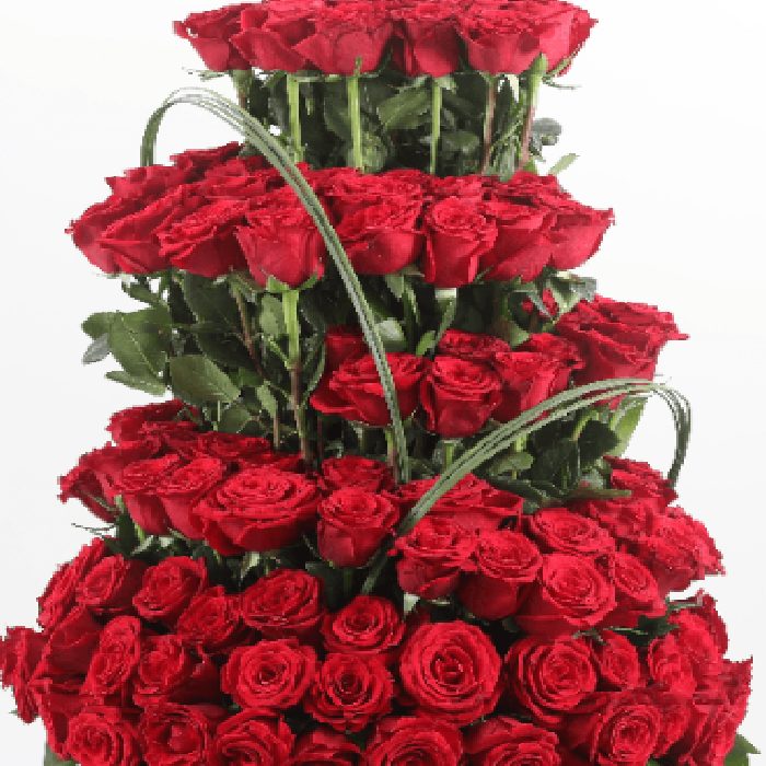 elegance of 101 red roses
