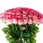 elite_pink_roses_2_.jpg