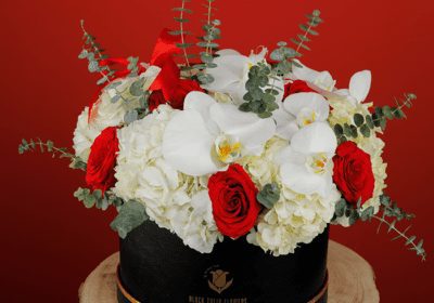 enchanting red and white flowers in a box