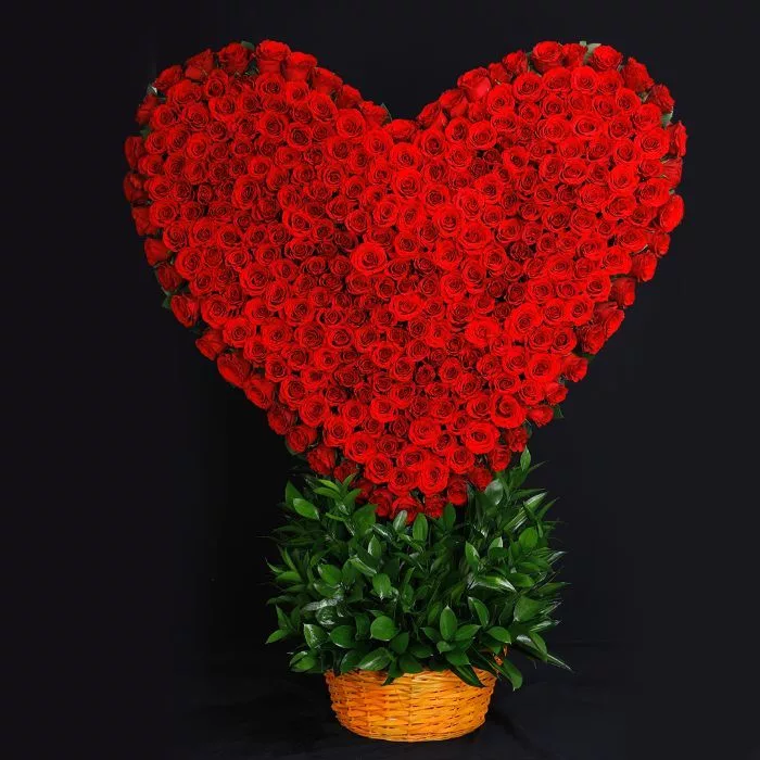 Heart shaped flowers hotsell