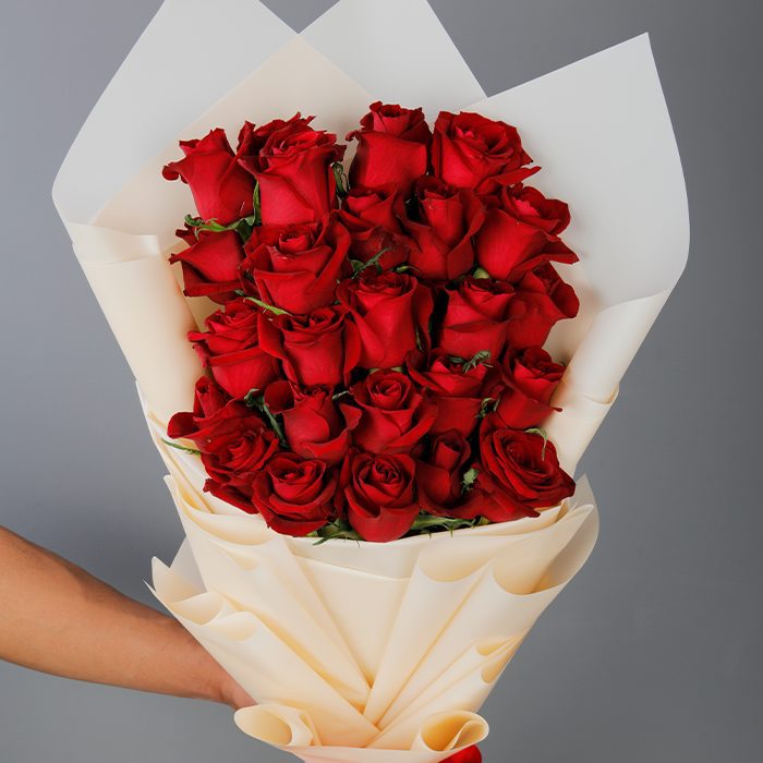 fascinating love of red roses 2