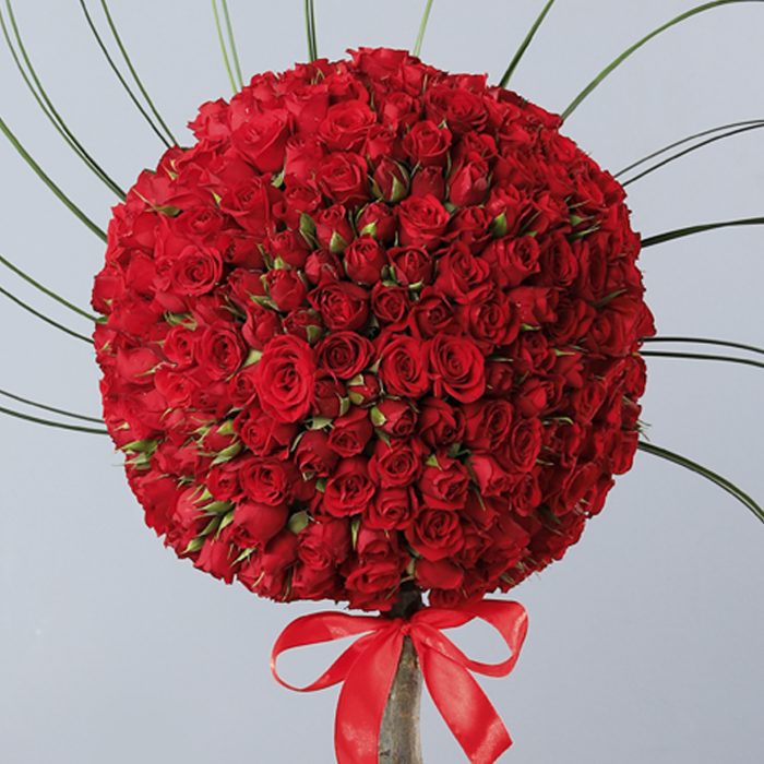 Roses florist on sale