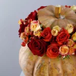 gourd-geous_pumpkin_1.jpg