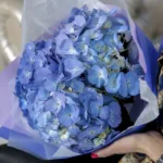 graceful_hydrangea_bouquet_1.jpg