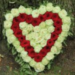 heart_shape_red_and_white_flowers.png