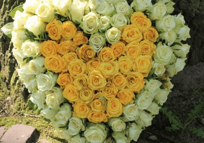 heart shape yellow and white flowers