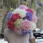 hello_hydrangeas.jpg