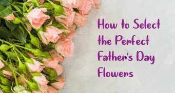 How to Select the Perfect Father’s Day Flowers? 22 how to select the perfect fathers day flowers