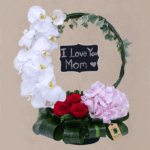 i-love-you-mom.png