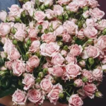 lightning_pink_bouquet_2_.jpg