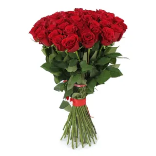 A luxurious bunch of 30 long-stem red roses, beautifully tied with a red ribbon.
