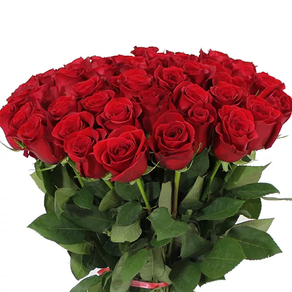 Long stem roses clearance in a box