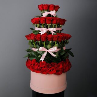lovely red roses in a pink box