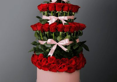 lovely red roses in a pink box